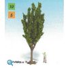 349528 1 topol 12cm noch 25950 4