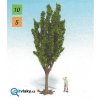 Topol - 12cm / NOCH 25950_4