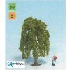 349531 1 vrba 8cm noch 25950 5