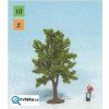 349540 1 svestka 8cm noch 25950 8