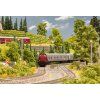 351718 5 n z jedle 10 ks noch 32920