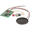 372223 4 h0 slavnost s dechovkou micro motion noch 66826