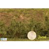 H0/TT - Vysoké keře - Zelená dubová - střední listí / Polák model 9225
