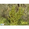 H0/TT - Vysoké keře - zelená osiková - střední listí / Polák model 9271