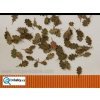 390265 listy dub extra barvy podzim 1 72 87 model scene l8 102