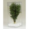 Vícekmenný strom 9-12 cm / Polák model 9515
