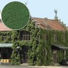 Foliáž, středně zelená / BUSCH 7342