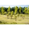 Mladé stromky s oporou - 10 ks / Auhagen 70950