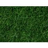 443993 staticka trava divoka tmave zelena 6 mm 50g noch 07106