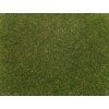 463187 staticka trava stredne zelena 4 mm 20 g noch 08364