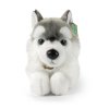 Plyšový pes husky 32 cm ECO-FRIENDLY / RAPPA 198975