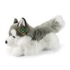 Plyšový pes husky 32 cm ECO-FRIENDLY / RAPPA 198975