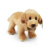 Plyšový pes labrador 20 cm ECO-FRIENDLY / RAPPA 211377