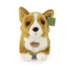 Plyšový pes corgi 32 cm ECO-FRIENDLY / RAPPA 243019