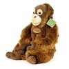 Plyšový orangutan 27 cm ECO-FRIENDLY / RAPPA 211841