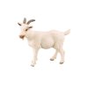 Sada koza s kůzletem a farmářkou / RAPPA 217706