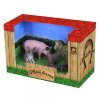 Sada farma s farmářem 5 ks s příslušenstvím / RAPPA 217744