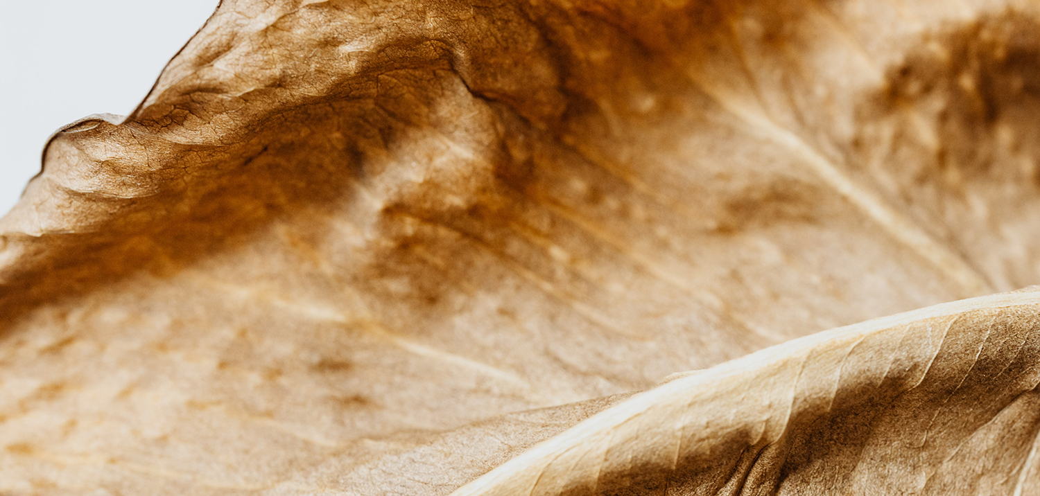 Nechte si zabalit smart beauty do eko balení