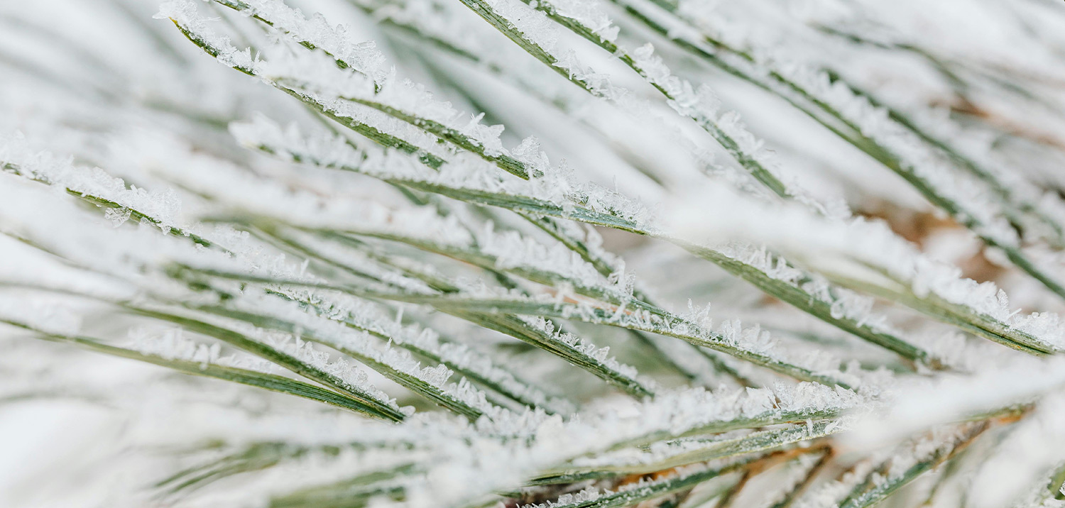 Zimní péče o pleť - 7 nejužitečnějších rad pro krásnou pleť i v zimě