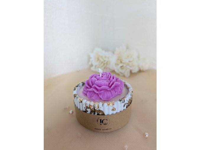 PXL 20250419 090810409.ACTION PAN