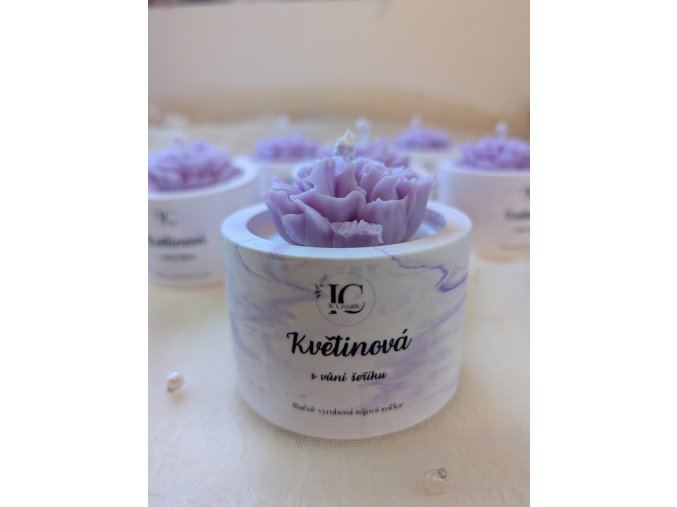 PXL 20250225 141944986.ACTION PAN