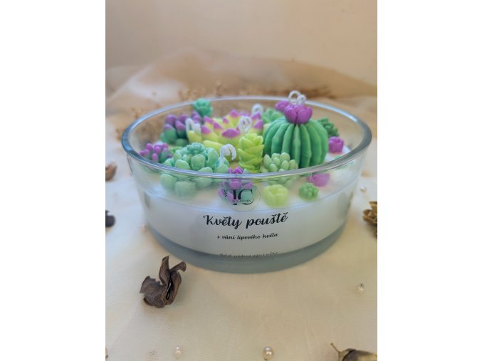 PXL 20250225 140557153.ACTION PAN