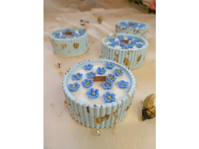 PXL 20250225 143655599.MP