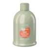 Nourish shampoo 300m l