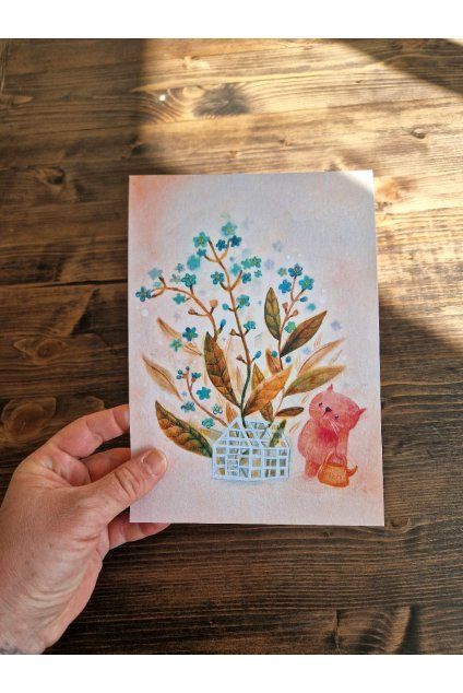 Fotka kočka na web