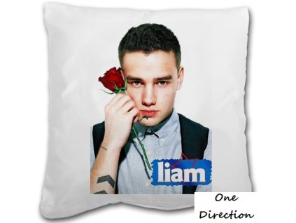 Polštář plus povlak One Direction Liam