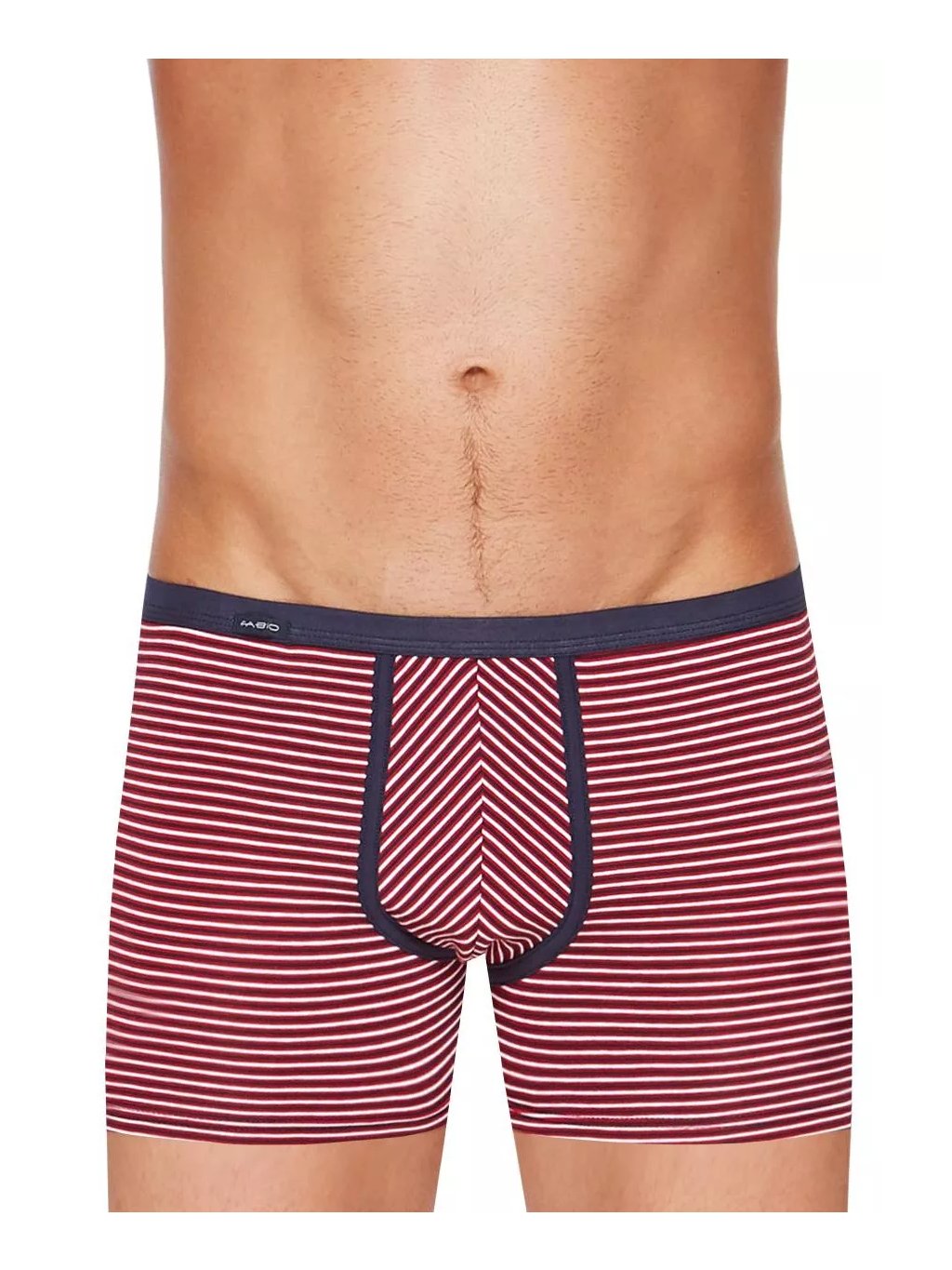 Pánské boxerky s delší nohavičkou a podélným proužkem vzor 206Z Fabio (Barva/Velikost <img KodProduktu="2110113206zH">bordo (vínová) / S/M)