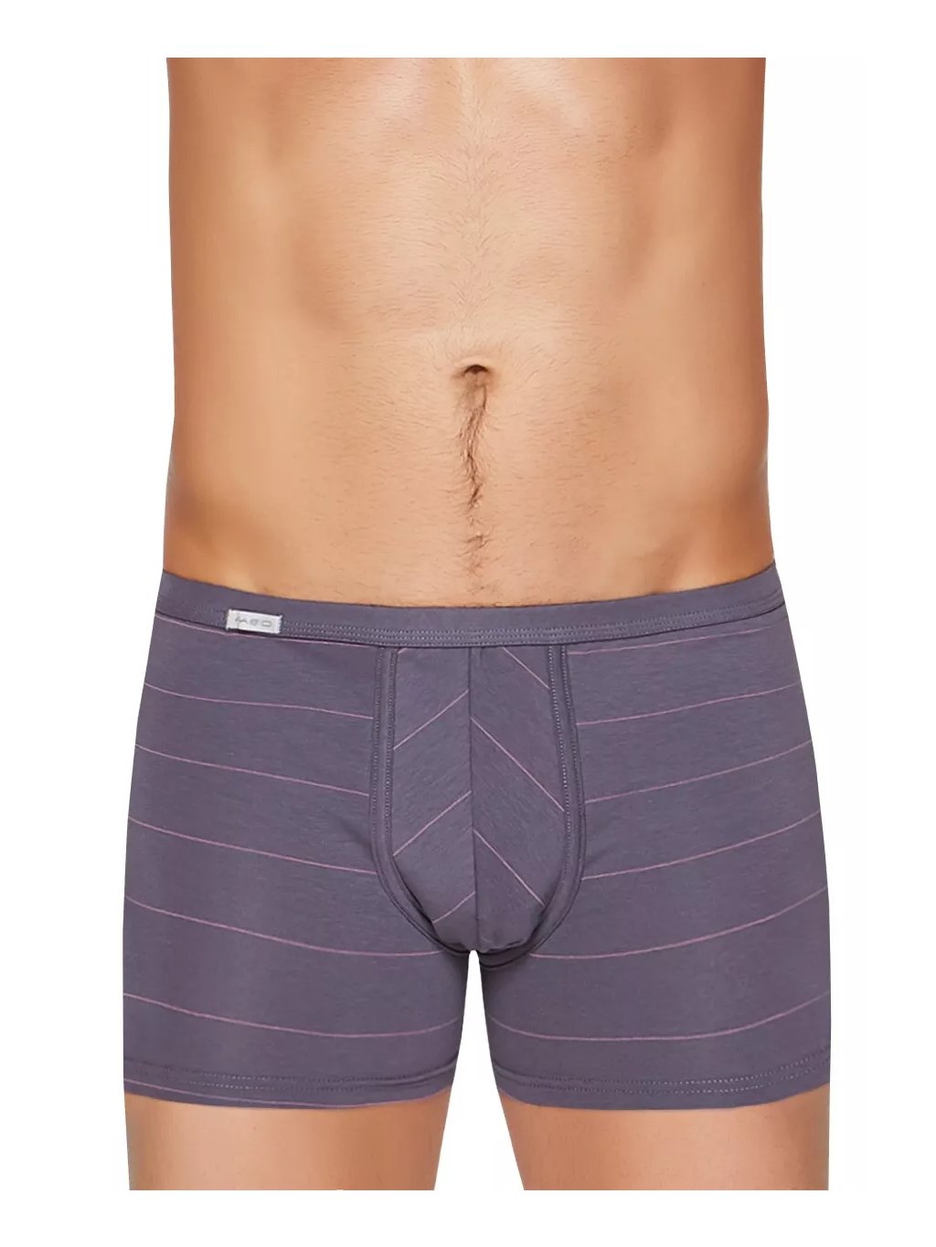 Pánské boxerky s delší nohavičkou a podélným proužkem vzor 88 Fabio (Barva/Velikost <img KodProduktu="2110113088H">šedá / S/M)