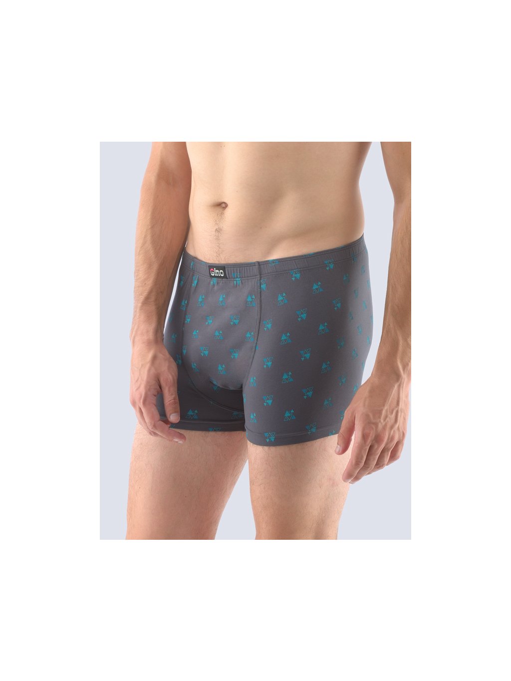 Boxerky s kratší nohavičkou 73107P (Barva/Velikost <img KodProduktu="73107P">tm. šedá, šalvěj / M/L)