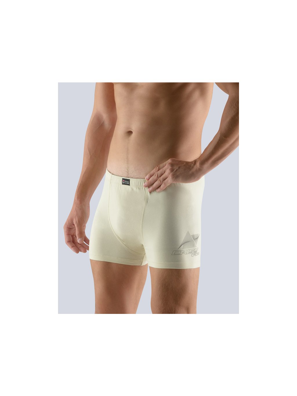 Výhodné balení 5 kusů - Boxerky s kratší nohavičkou 73083P (Barva/Velikost <img KodProduktu="73083P">šedobílá, okrová / S/M)