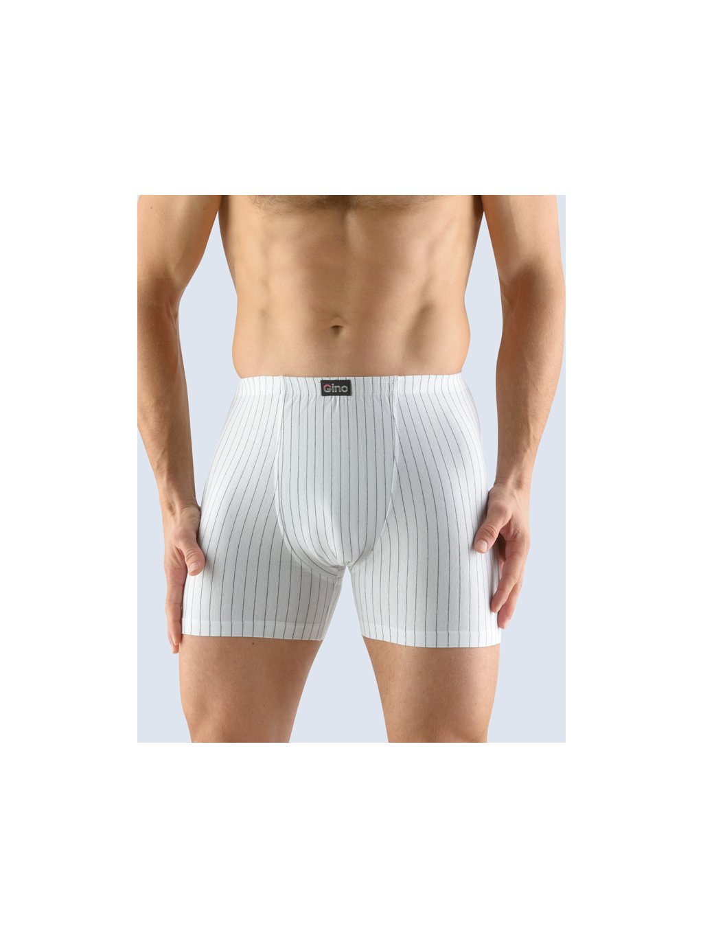 Výhodné balení 5 kusů - Boxerky s delší nohavičkou 74105P (Barva/Velikost <img KodProduktu="74105P">bílá, tm. šedá / M/L)