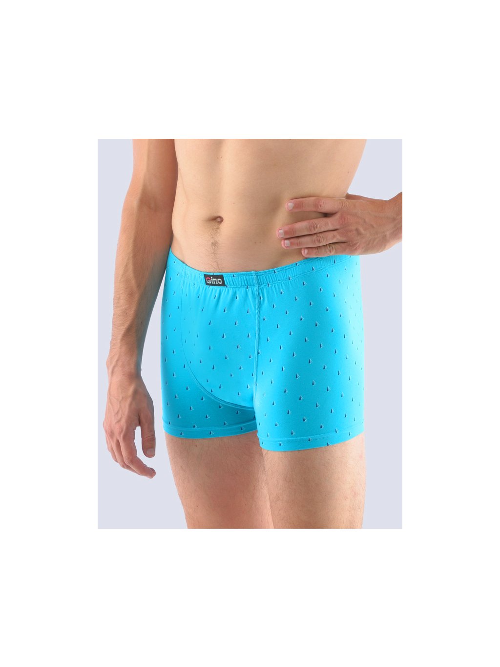 Výhodné balení 5 kusů - Boxerky s kratší nohavičkou 73108P (Barva/Velikost <img KodProduktu="73108P">tyrkysová, lékořice / M/L)