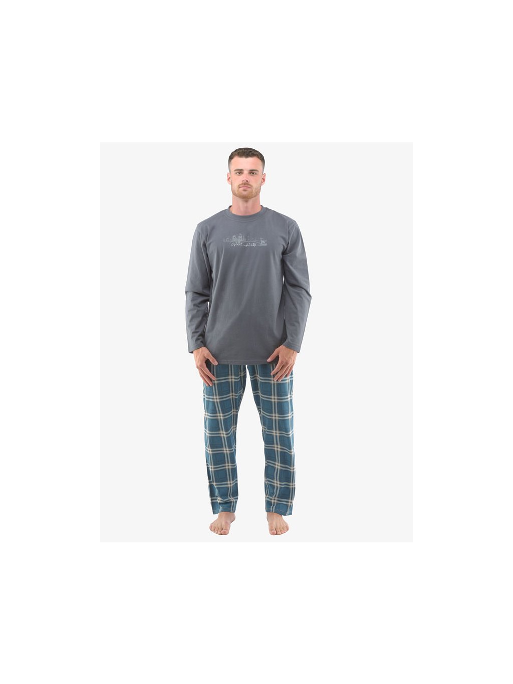 Pyžamo dlouhé pánské 79133P (Barva/Velikost <img KodProduktu="79133P">sv. šedá, hypermangan / 3XL)