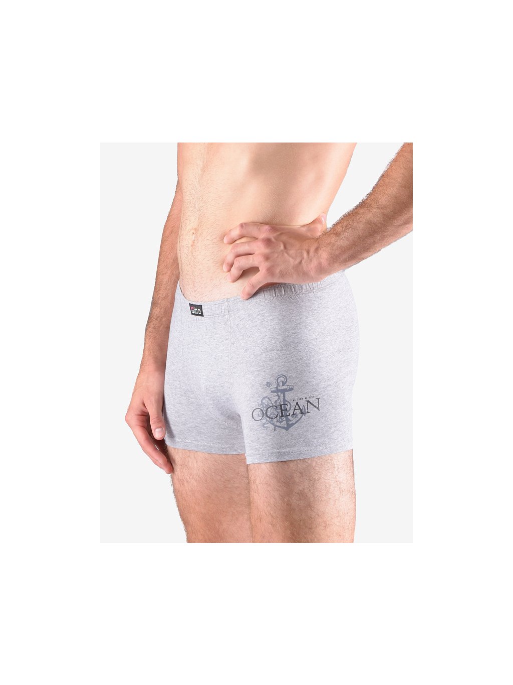 Výhodné balení 5 kusů - Boxerky s kratší nohavičkou 73115P (Barva/Velikost <img KodProduktu="73115P">sv. šedá, tm. šedá / L/XL)