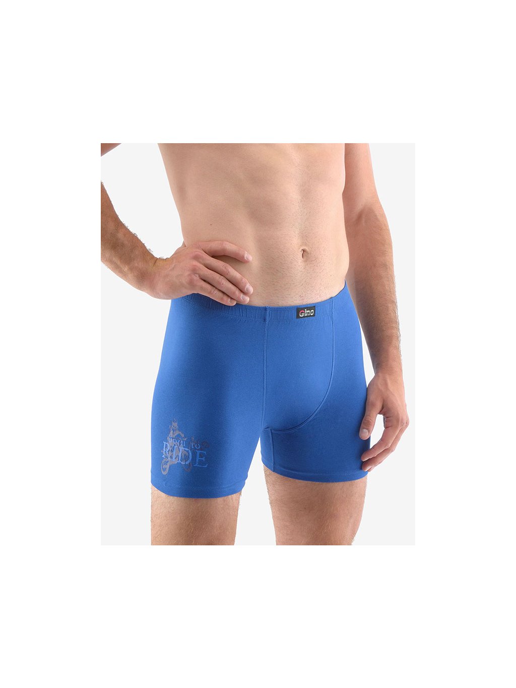 Výhodné balení 5 kusů - Boxerky s delší nohavičkou 74145P (Barva/Velikost <img KodProduktu="74145P">atlantic, lékořice / M/L)