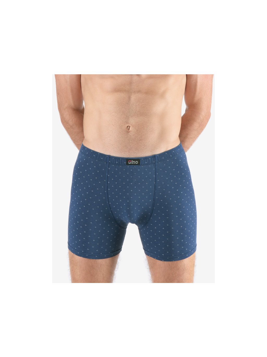 Boxerky s delší nohavičkou nadměrné 74175P (Barva/Velikost <img KodProduktu="74175P">tm. šedá, aqua / XXL/3XL)