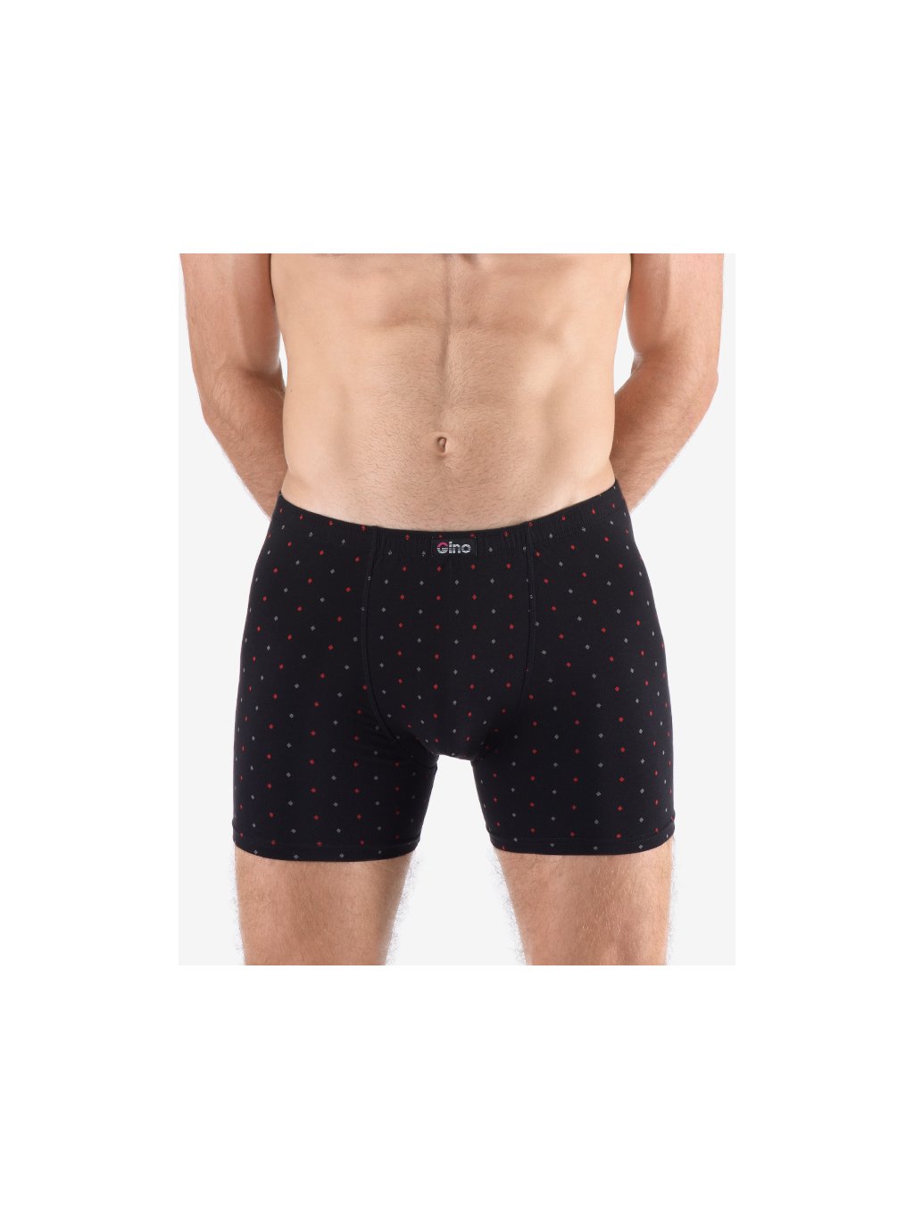 Výhodné balení 5 kusů - Boxerky delší nohavička 74173P (Barva/Velikost <img KodProduktu="74173P">černá, martini / M/L)