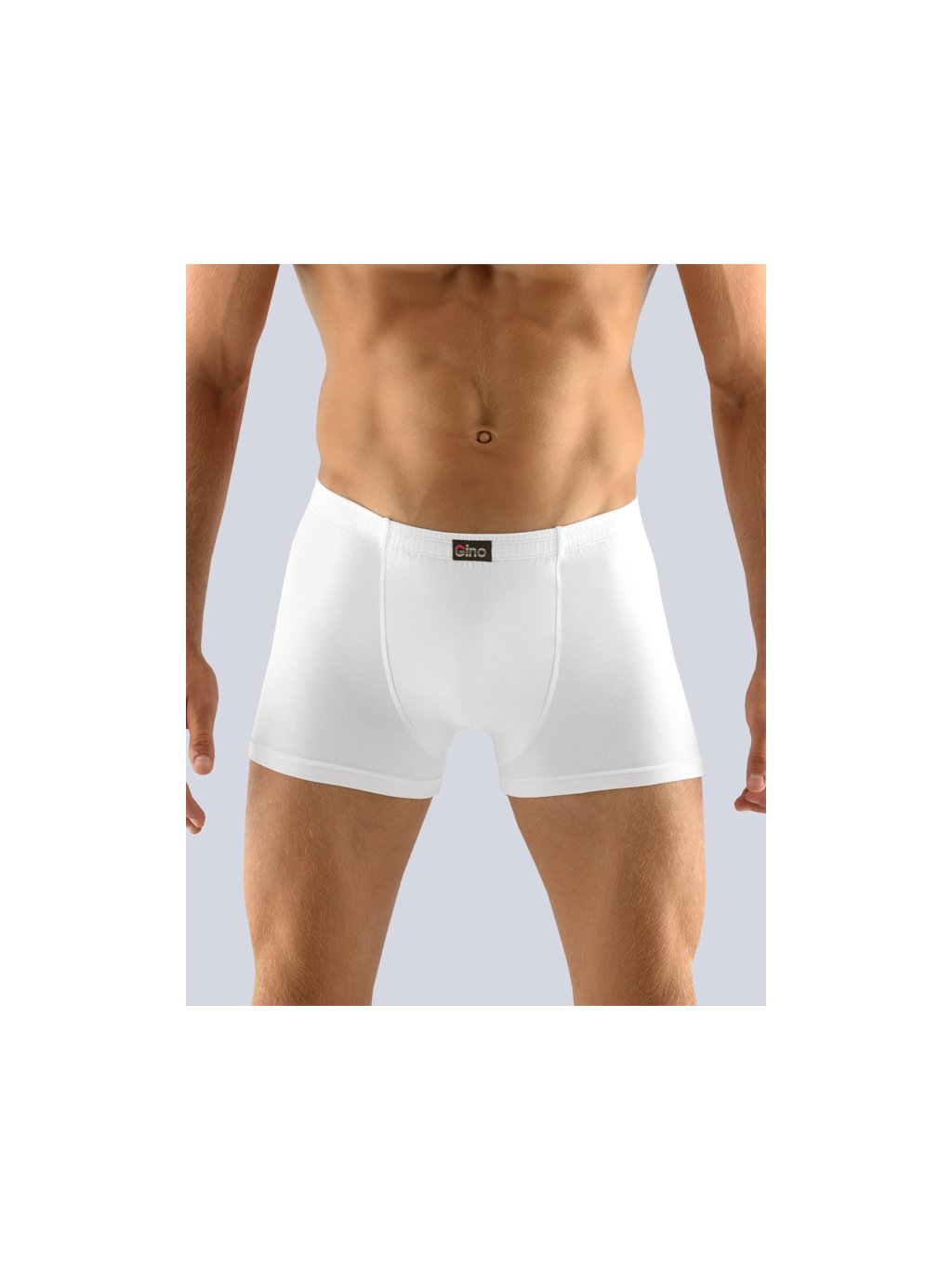 Výhodné balení 5 kusů - Boxerky s kratší nohavičkou 73064P (Barva/Velikost <img KodProduktu="73064P">černá / XL/XXL)