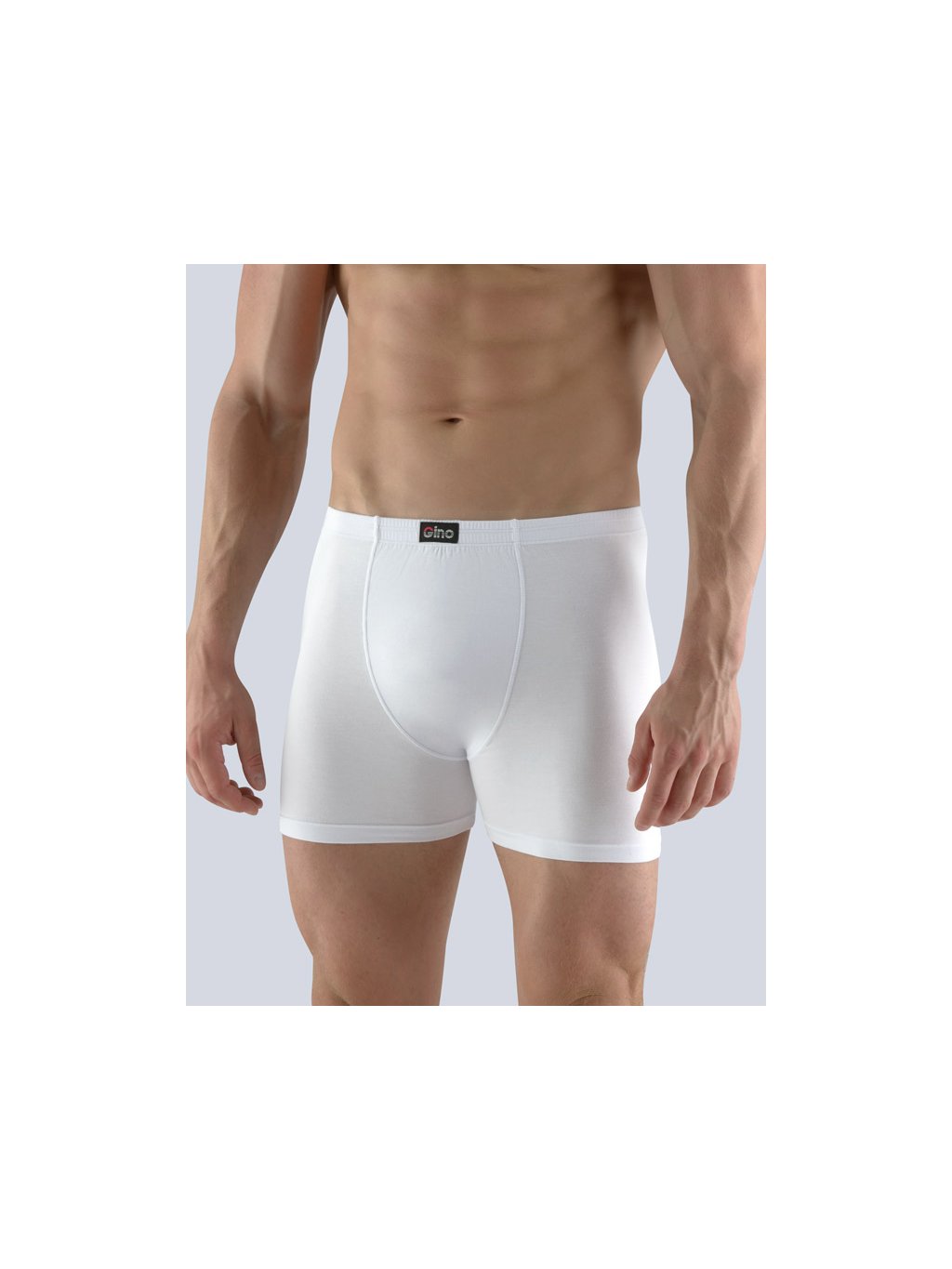 Výhodné balení 5 kusů - Pánské boxerky 74090P (Barva/Velikost <img KodProduktu="74090P">atlantic / XXL/3XL)