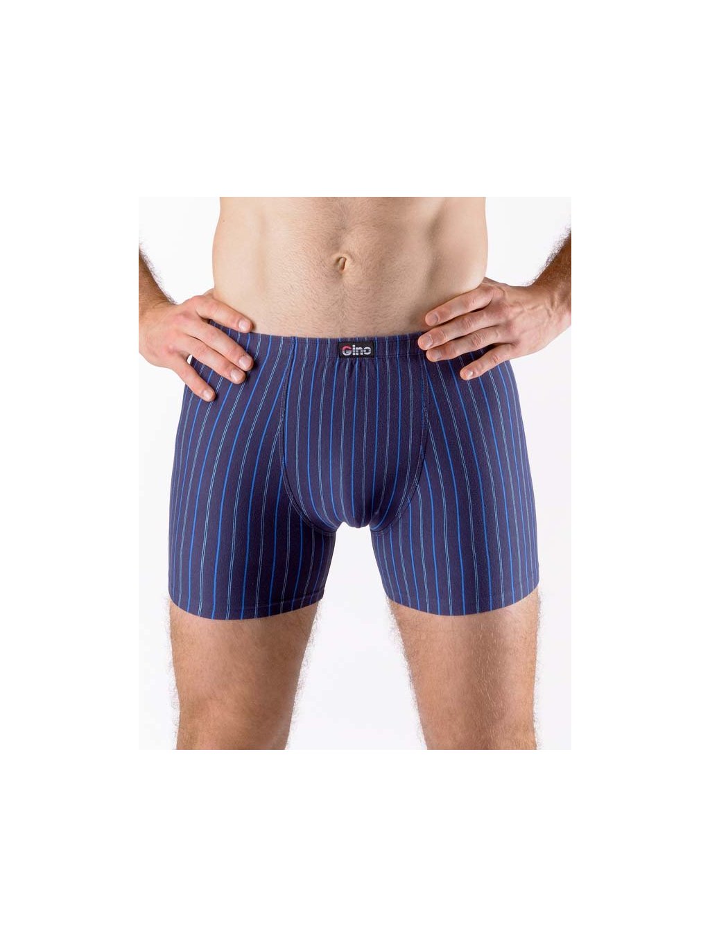 Boxerky delší nohavička 74167P (Barva/Velikost <img KodProduktu="74167P">petrolejová, sv. tyrkysová / XXL/3XL)