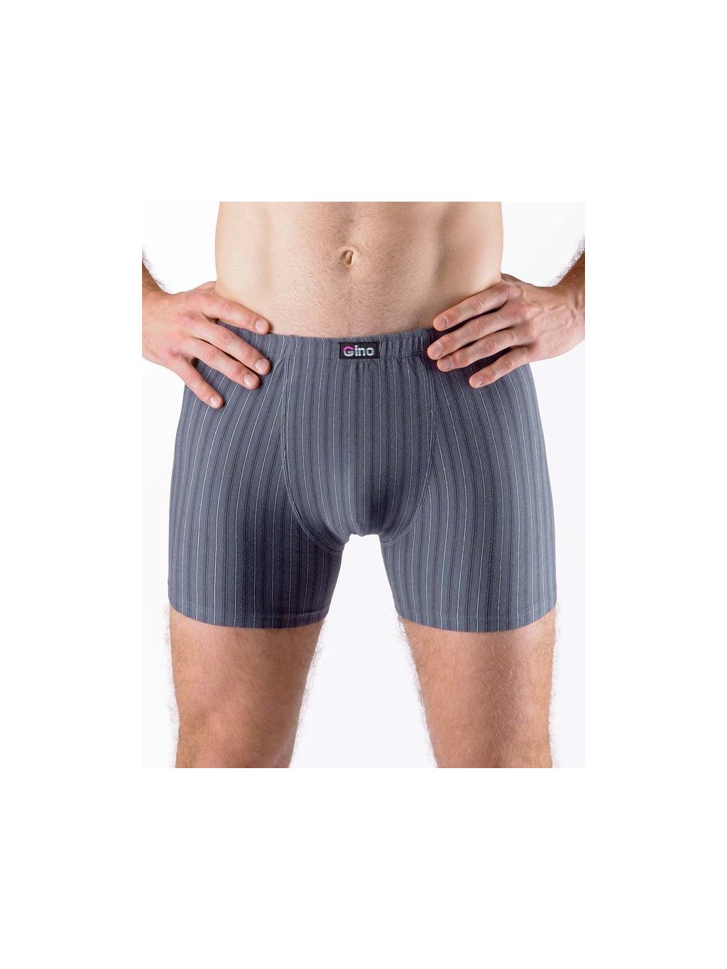 Boxerky delší nohavička 74169P (Barva/Velikost <img KodProduktu="74169P">tm. šedá, aqua / L/XL)