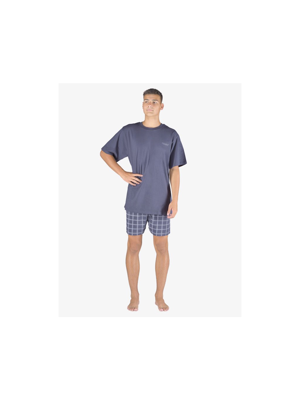 Pyžamo krátké pánské 79152P (Barva/Velikost <img KodProduktu="79152P">tm.popel, sv. šedá / L)