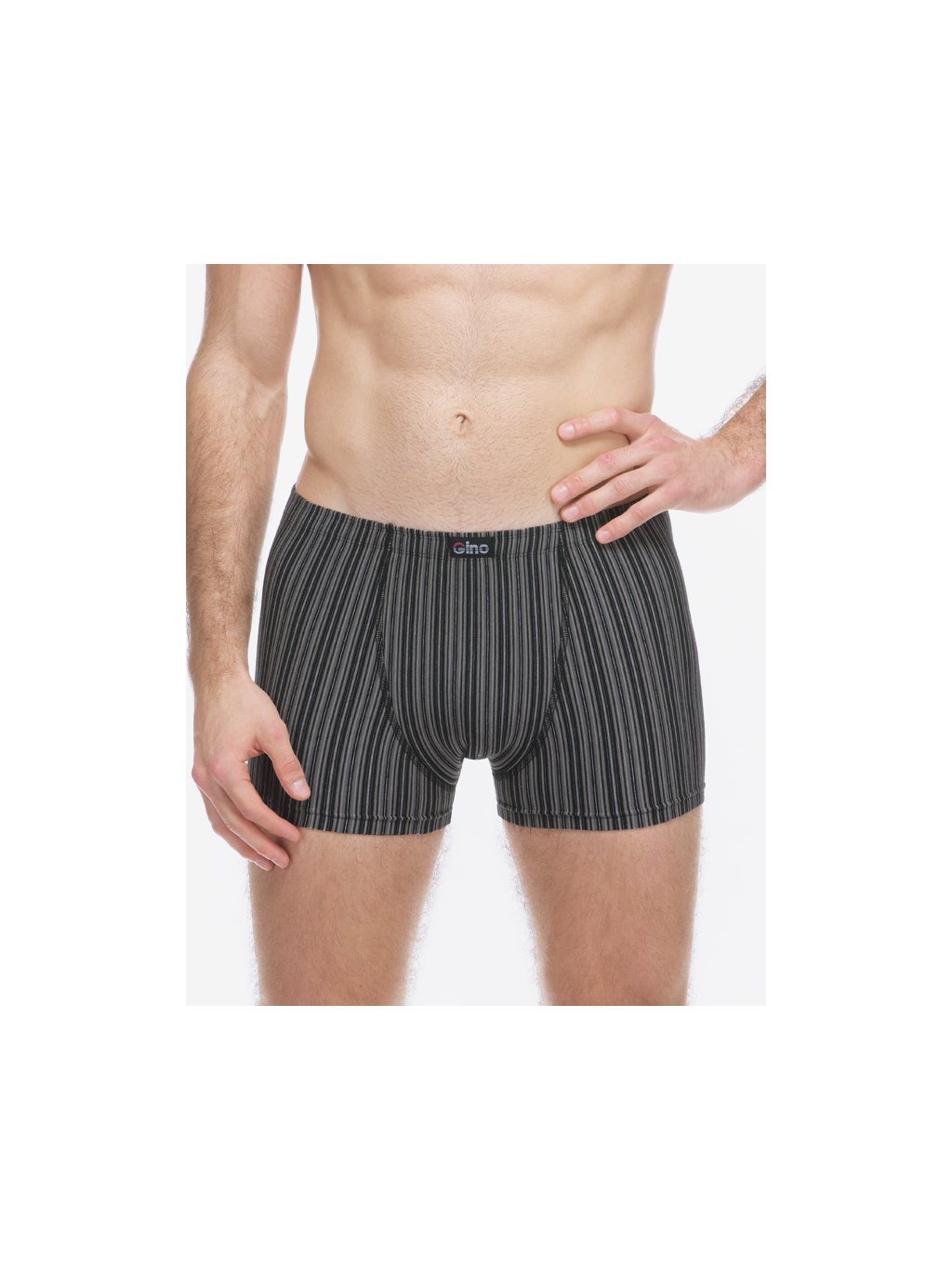 Boxerky s kratší nohavičkou 73138P (Barva/Velikost <img KodProduktu="73138P">lékořice, sv. modrá / XL/XXL)