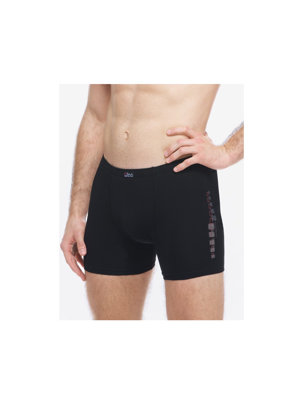 Boxerky delší nohavička 74176P (Barva/Velikost <img KodProduktu="74176P">lékořice, atlantic / XXL/3XL)