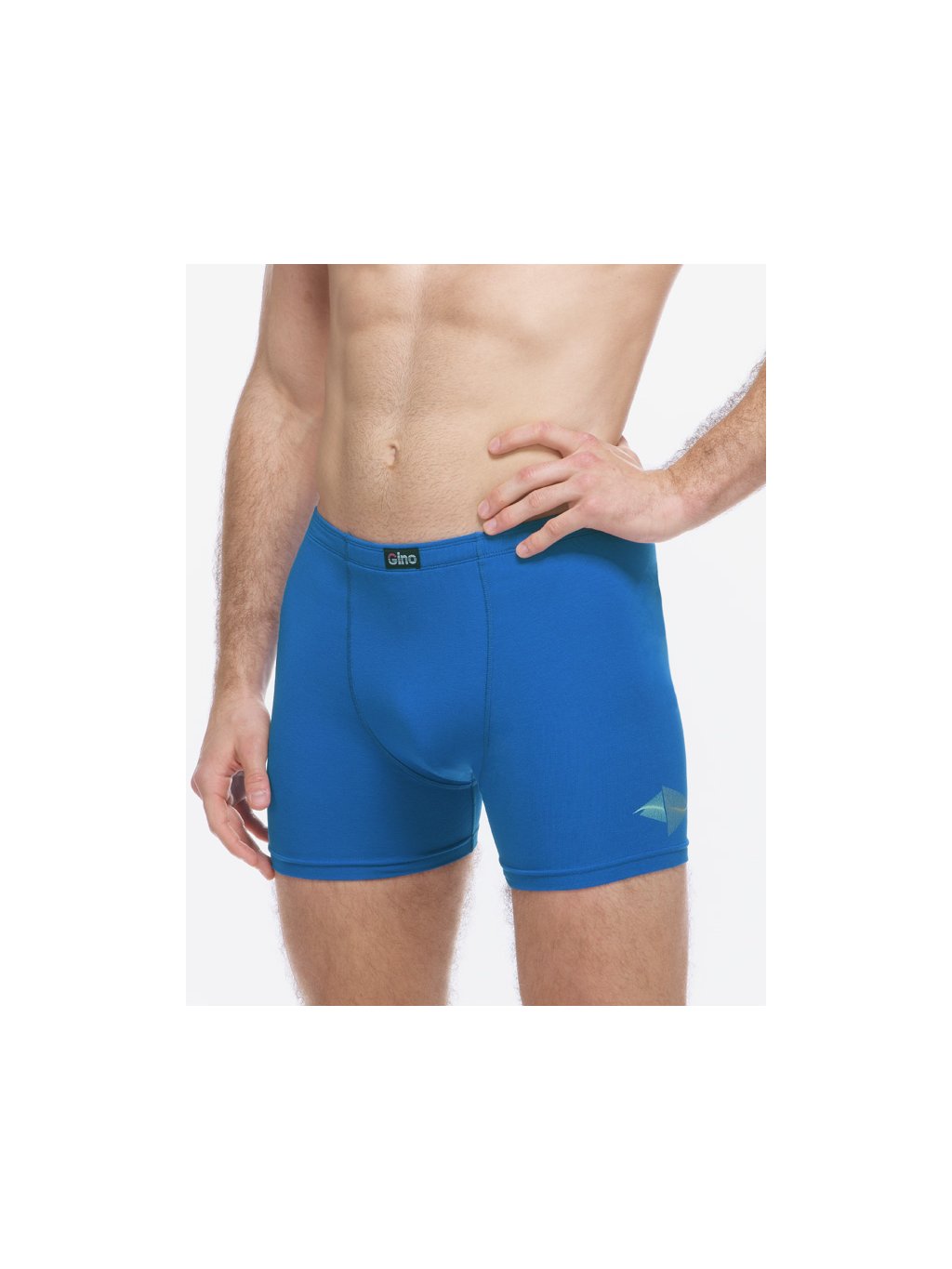 Boxerky delší nohavička 74184P (Barva/Velikost <img KodProduktu="74184P">petrolejová, šedá / XXL/3XL)