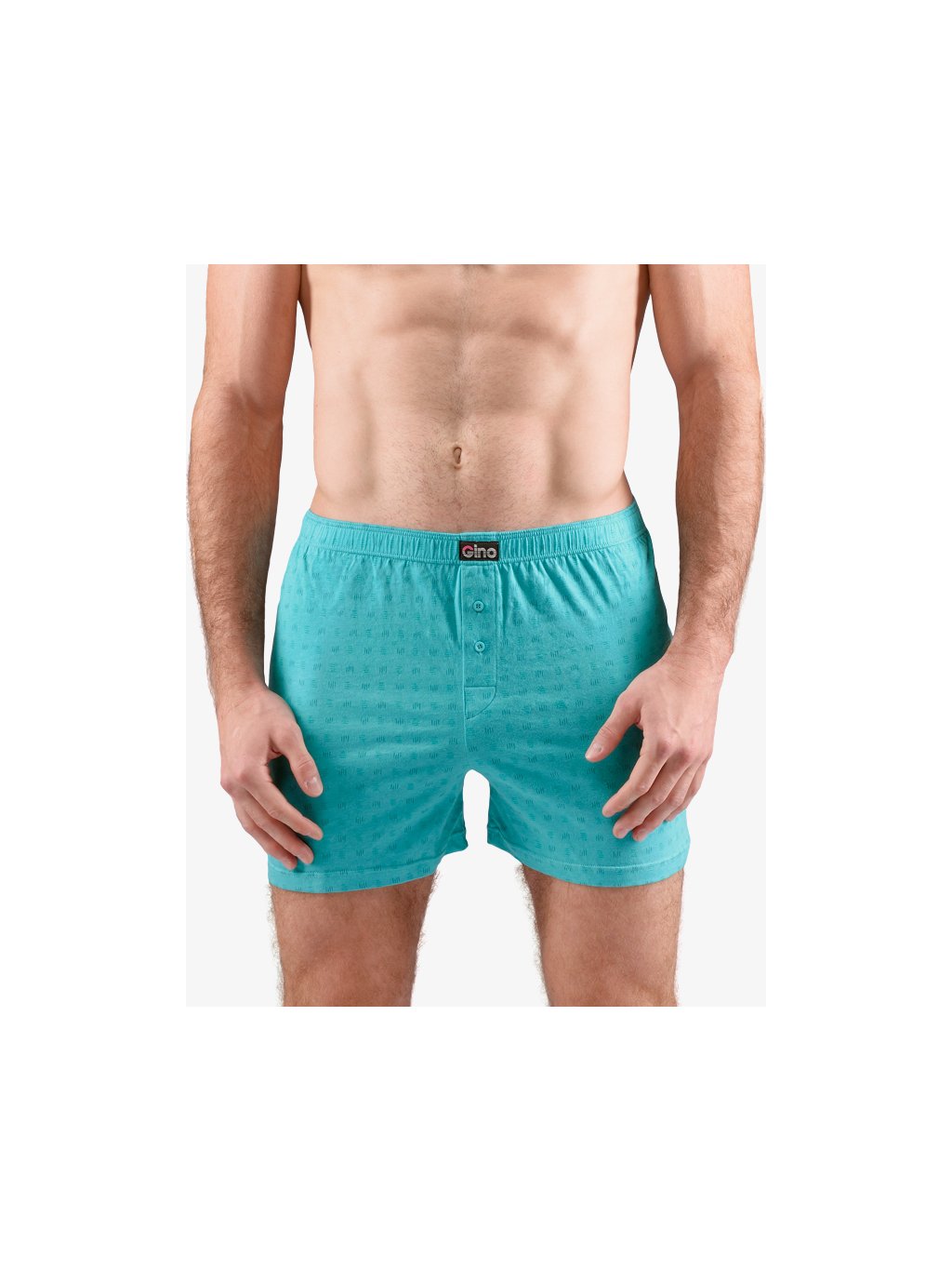 Trenky volné nadměrné 75208P (Barva/Velikost <img KodProduktu="75208P">peprmint, šalvěj / 3XL/4XL)